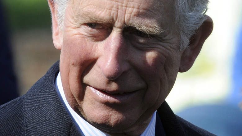 The “donations” that put Prince Charles’ future under control – Business & Politics